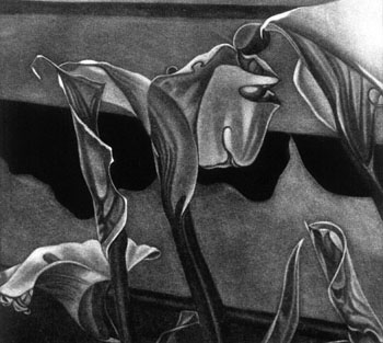 Callas