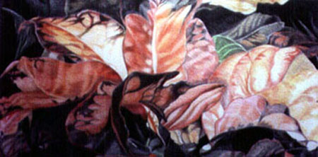 Croton