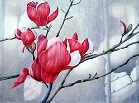 Magnolia