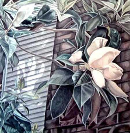 magnolia IV