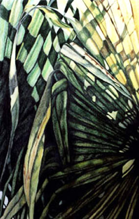 palm IV